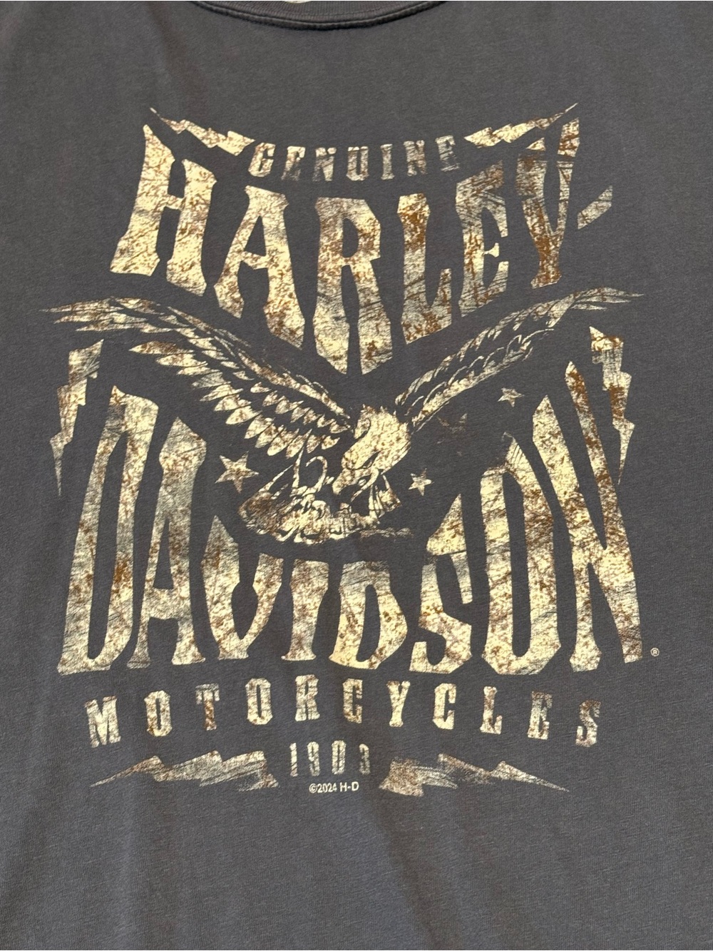 Harley Davidson Men’s Route 66 2XL t-shirt - Picture 5 of 7